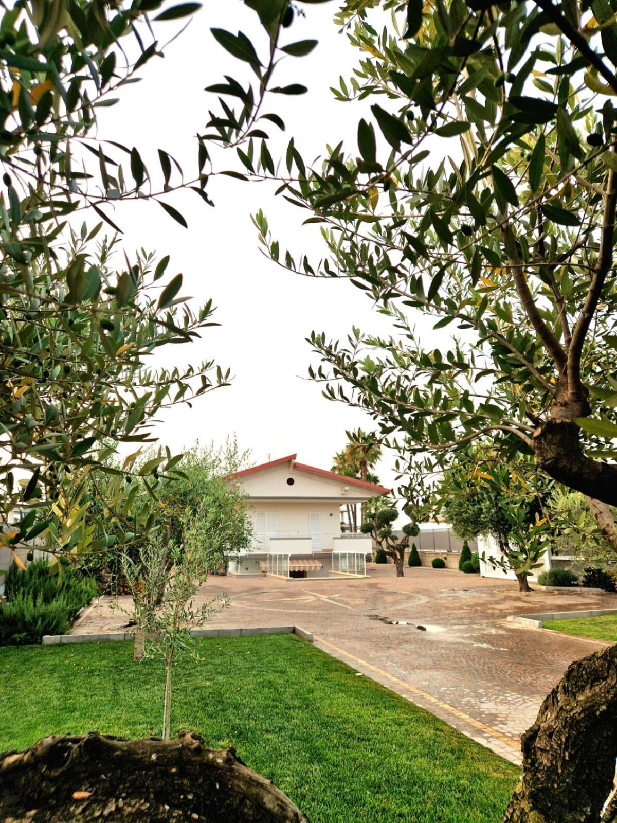 Corte D'Aniello Scafati Luaran gambar